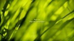 خیلی خیلی کوچک (2) (حشره برفی)